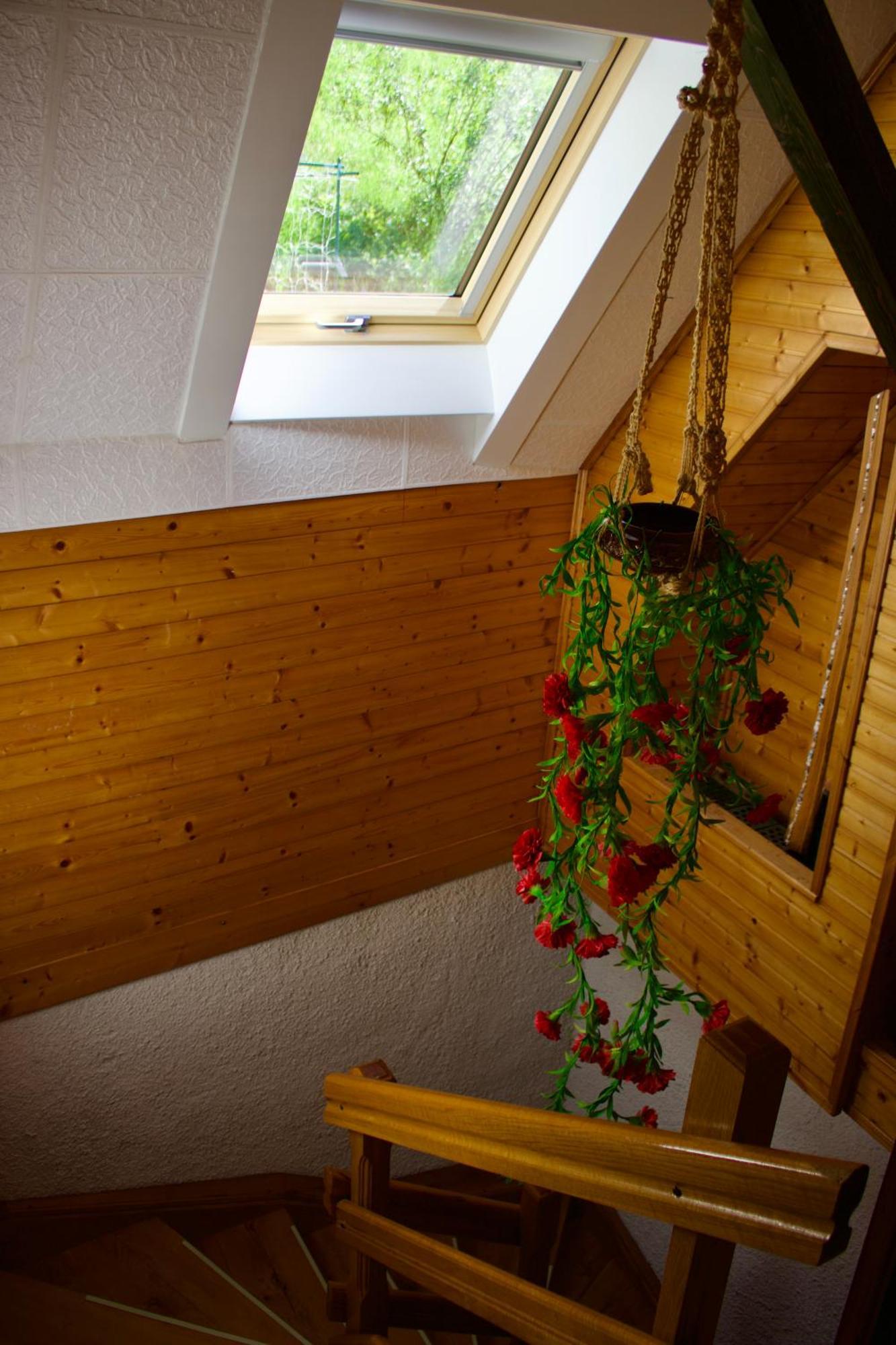 Appartement Pohar